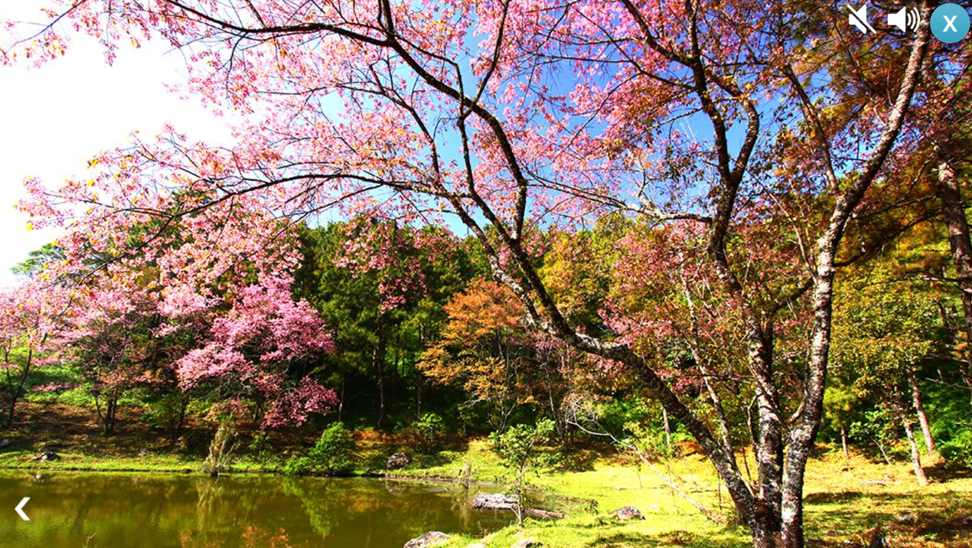 Screengrab from the HTOT Mindfulness Offering